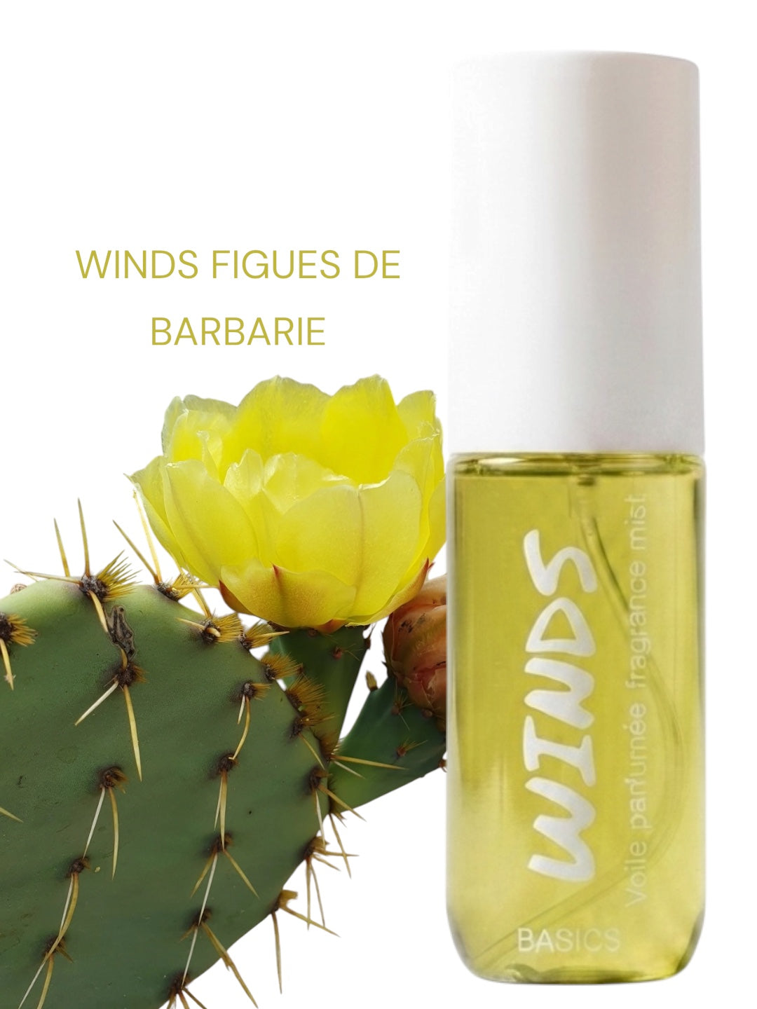 WINDS BODY MIST